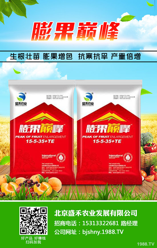 油菜什么季節(jié)種植，油菜從種植到豐收需要多久？