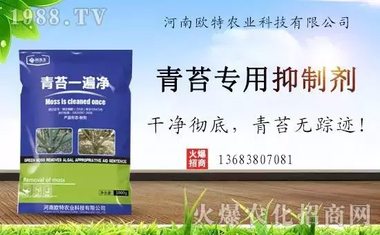 神奇除青苔劑!,不反彈!干凈,青苔無(wú)蹤!