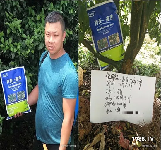 神奇除青苔劑!,不反彈!干凈,青苔無(wú)蹤!