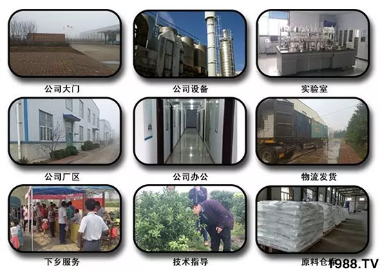 神奇除青苔劑!,不反彈!干凈,青苔無(wú)蹤!