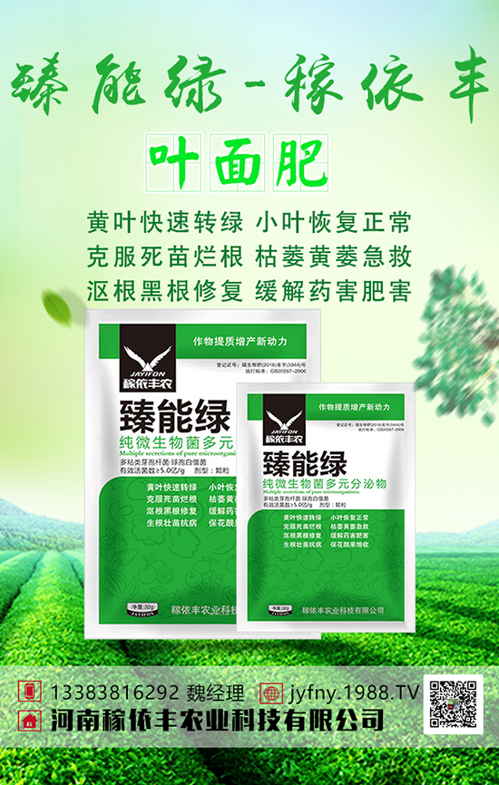 萵筍施肥有方法,萵筍四大科學(xué)施肥技術(shù)!