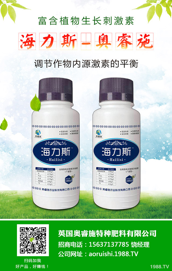 韭菜什么時候種植更好，韭菜種植時間和栽培技術