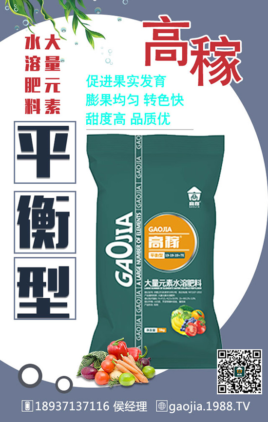 ������_�Ľo���ʩ������ôʩ����ʩʲô����