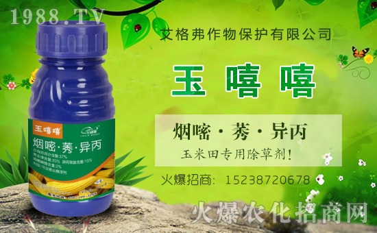 【艾格弗作物】祝新老朋友新春快樂,生意興隆,萬事如意,闔家安康!