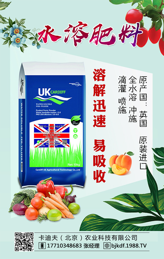 黃花菜要怎么種植？黃花菜對環(huán)境條件的要求！