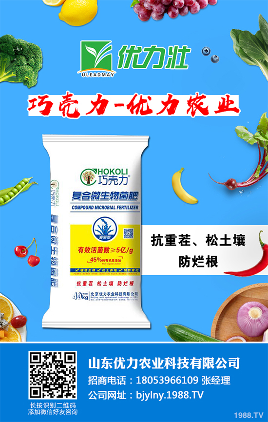 芹菜軟腐病來(lái)襲，到底該如何防治？芹菜軟腐病的危害與防治