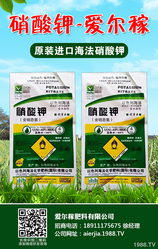 常吃蘆筍對(duì)人體有哪些好處？蘆筍的功效作用及營養(yǎng)價(jià)值