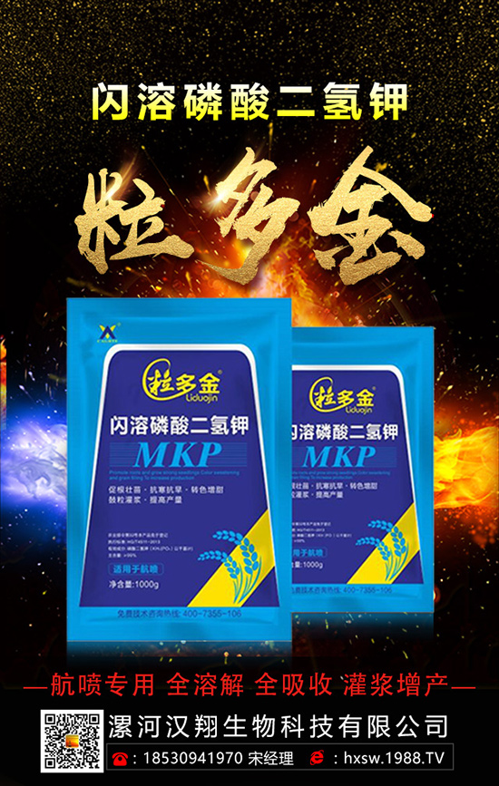 柚子如何種植拔高產(chǎn)量呢？柚子的科學(xué)種植方法！