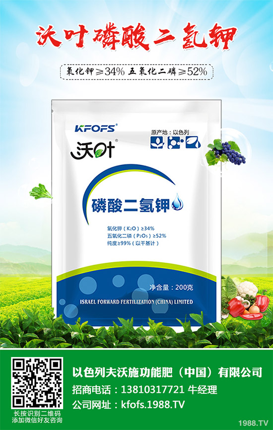 芹菜病毒病有哪些危害？該如何防治？芹菜病毒病的危害與防治