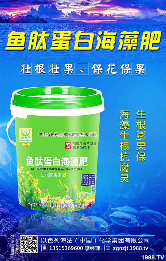 芹菜病毒病有哪些危害？該如何防治？芹菜病毒病的危害與防治