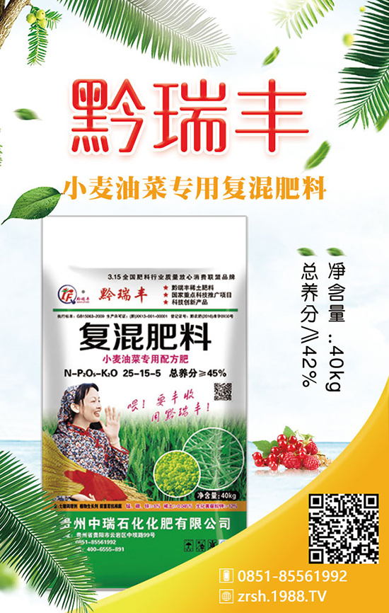 生菜的施肥原則有哪些?其中的作用是什么?