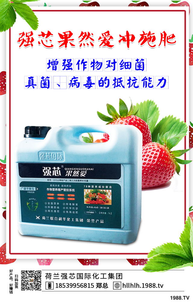 2020年種植什么蔬菜能掙錢？2020年蔬菜種植前景分析