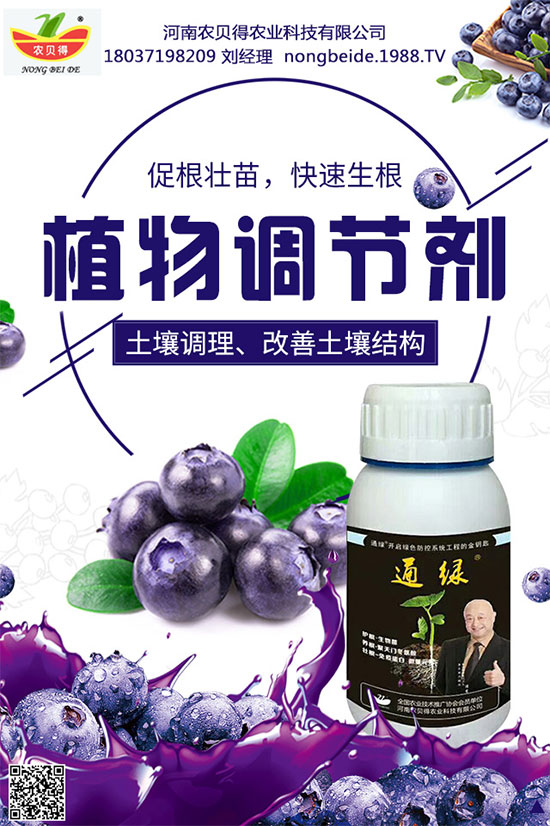 種植生姜施肥要點(diǎn)，生姜施肥用什么肥料？