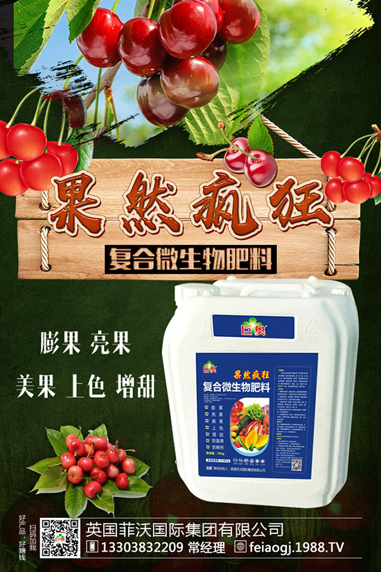 如何種植糯玉米才能實現(xiàn)高產(chǎn)？糯玉米種植要點有哪些