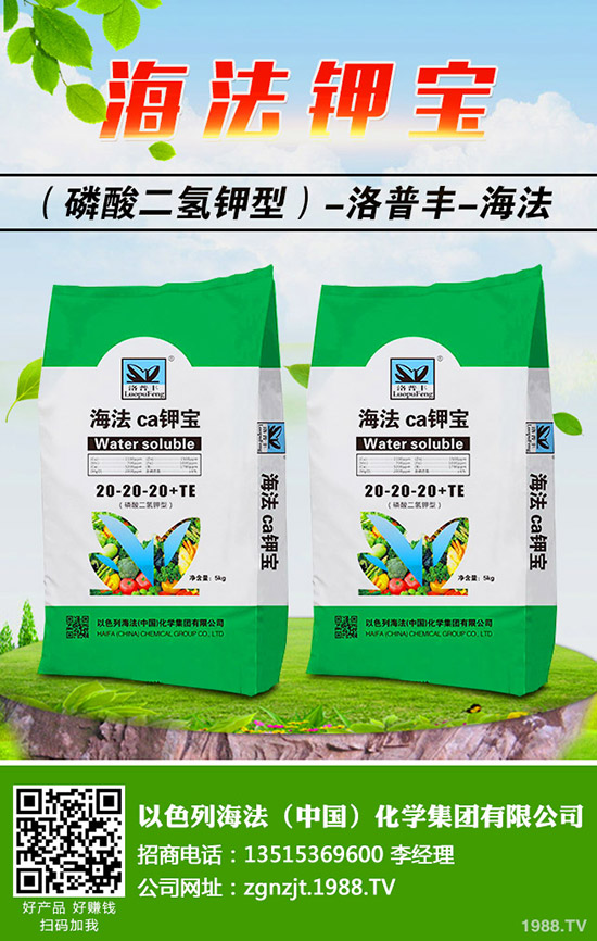 怎樣做好冬季梨樹修剪,梨樹冬季修剪的時(shí)間及方法!