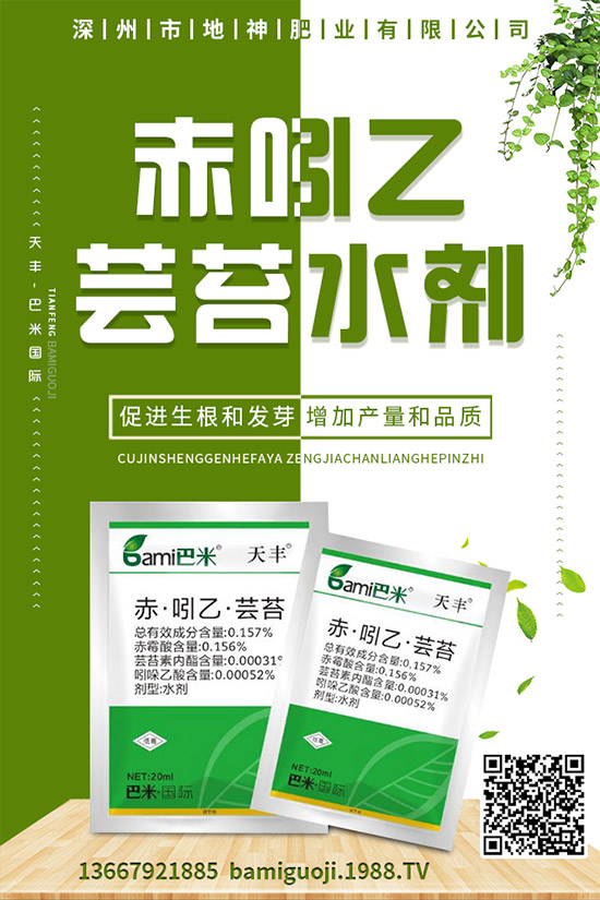 紅薯的營養(yǎng)價值有哪些，紅薯的功效作用與使用禁忌！