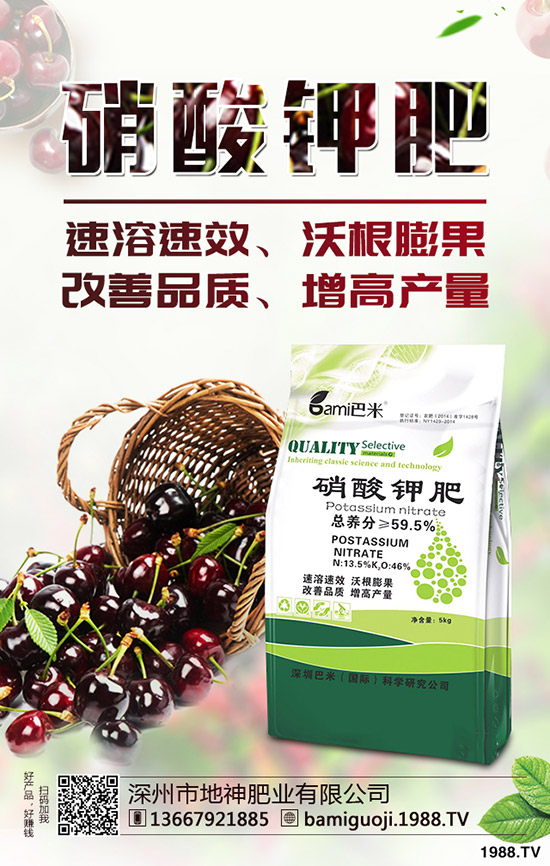 �t������r�g��ʲô�r�����t�����緽������Щ��