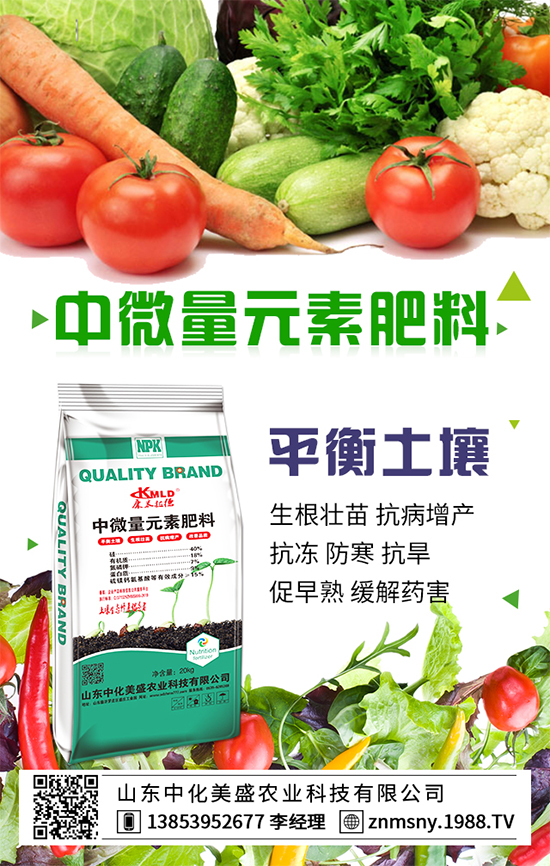 冬季草莓怎么管？冬季草莓管理措施！