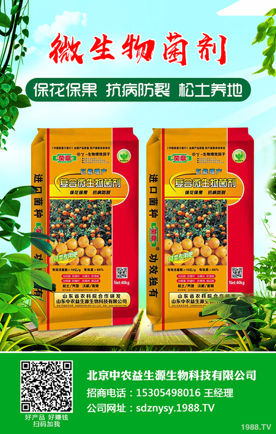     盆栽小香蔥如何種植？盆栽小香蔥種植時間及種植方法！