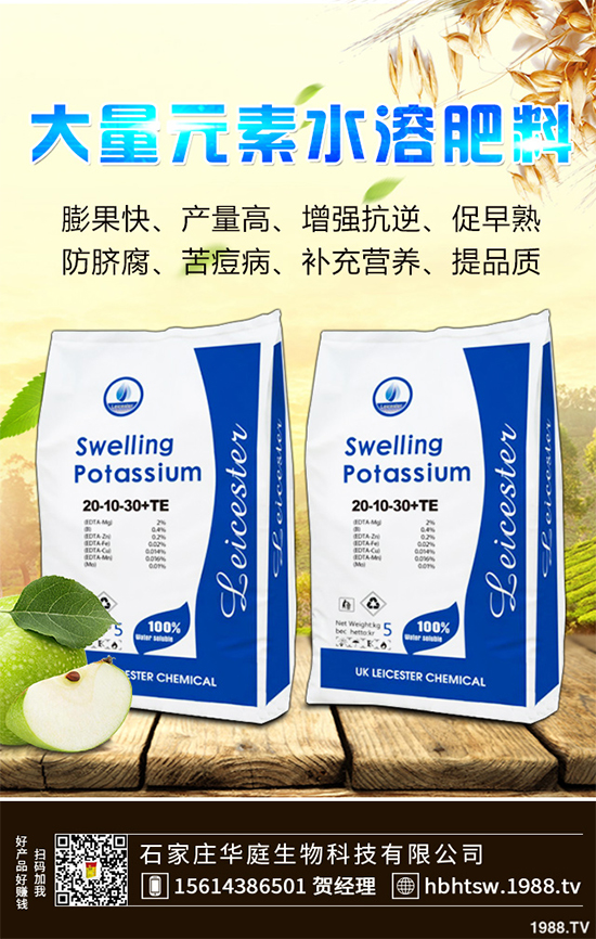 露地辣椒該如何施肥？露地辣椒高產(chǎn)施肥技術(shù)