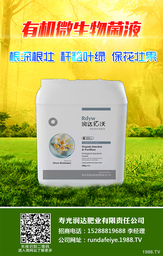 露地辣椒該如何施肥？露地辣椒高產(chǎn)施肥技術(shù)