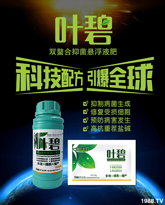 【碧斯特生物】祝您百福臨門常有余,祥云瑞氣聚新春!2020新春快樂!