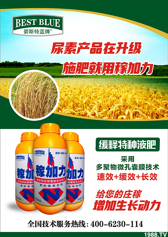 【碧斯特生物】祝您百福臨門常有余,祥云瑞氣聚新春!2020新春快樂!