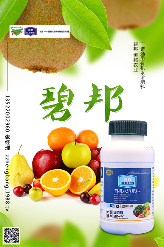 春季甘藍(lán)該如何種植?春甘藍(lán)高產(chǎn)管理技術(shù)