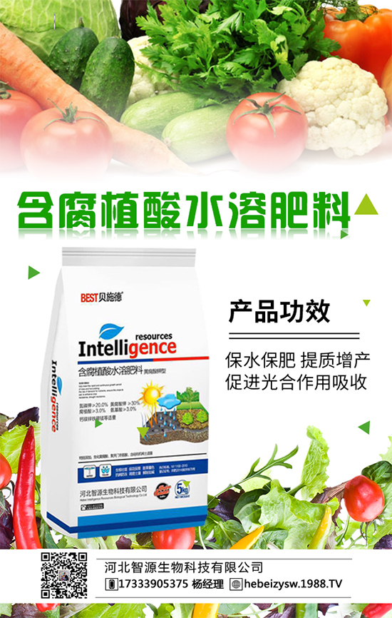 花菜科學種植方法與合理的田間管理大家了解嗎？