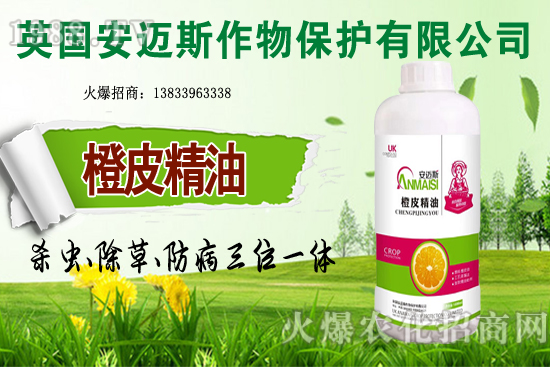 10月種植哪些蔬菜更合適？田間管理要重點抓好哪幾點？