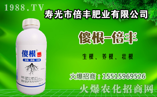 茄子種植該如何施肥？茄子的基肥與追肥方法！