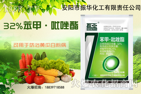 大棚黃瓜白粉病什么藥有用？發(fā)病條件如何避免？