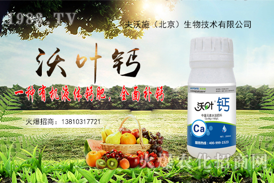 花生還會(huì)再漲嗎？2020年10月20日花生價(jià)格行情