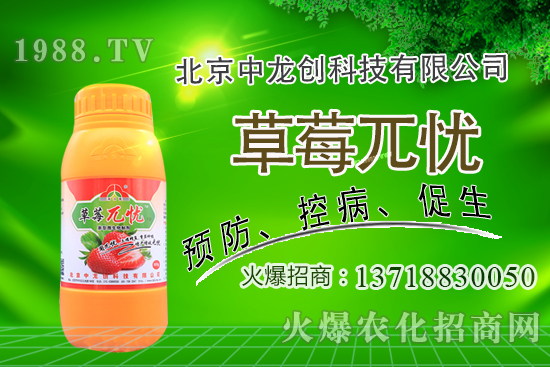 �������m�ϷNֲʲô��ˎ�������@�����׷N��Щ��ˎ����