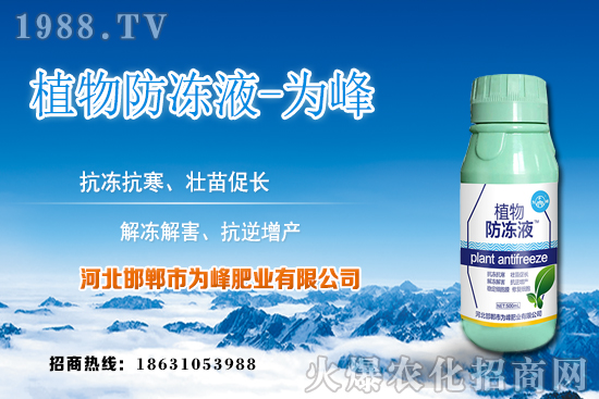 蘆薈的生長(zhǎng)規(guī)律有哪些？蘆薈種植方法及種植注意事項(xiàng)！