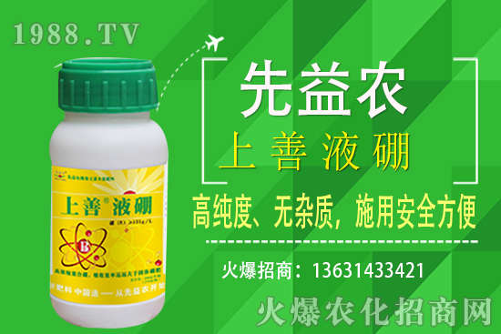 枇杷種植條件有哪些？枇杷種植要怎么施肥？