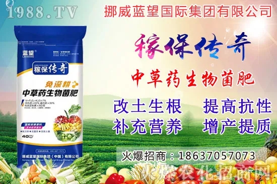 越冬菠菜施肥要注意什么問(wèn)題？越冬菠菜施肥四大原則！