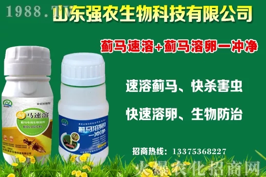 秋冬11月種植什么蔬菜比較合適？蔬菜種植注意事項(xiàng)！