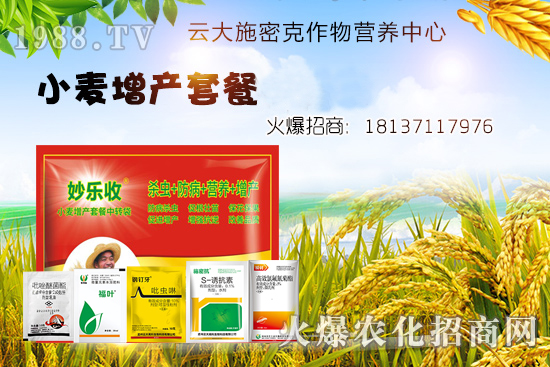 小麥播種后不出苗？是什么原因造成的？