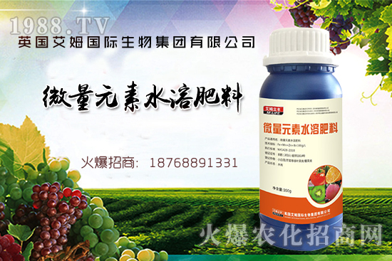 鐵、鋅、硼缺失癥狀,怎么補(bǔ)充作物所需元素?