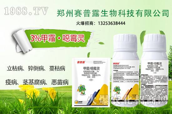 為什么霜霉病、猝倒病易發(fā)？難防治？