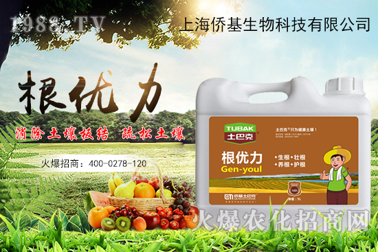 作物生根用什么肥？生根肥選擇有哪些？