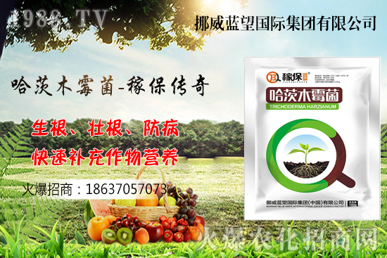 �ի@���С����΃�(ch��)������С����(ch��)���P(gu��n)�I�c(di��n)������