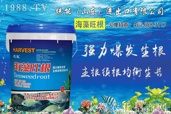 小麥種植時間如何確定？2020年小麥種植注意哪些問題？
