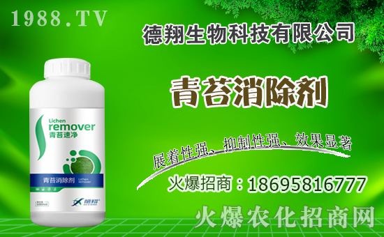 油菜什么時間種植，油菜種植方法是什么？有哪些注意事項？