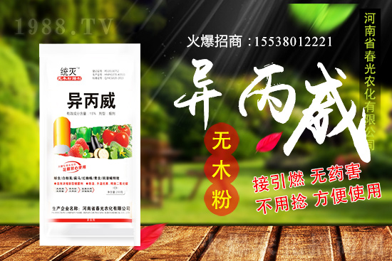 蒜苗種植前景及怎么樣？蒜苗種植要點及田間管理！