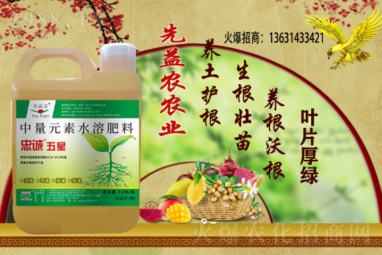 小麥價格多少錢一斤？今日小麥價格行情！