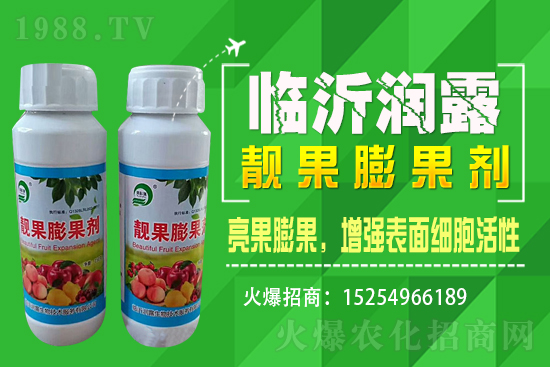 水稻價(jià)格野蠻上漲,漲價(jià)原因已揭開,能漲到1.6嗎?