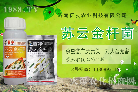 黃桃種植應(yīng)該注意哪些事項(xiàng)？黃桃種植時(shí)間及田間管理！