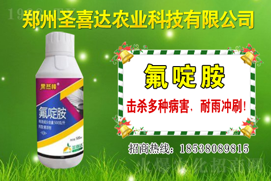 生姜播種方法有哪些？生姜可以和什么作物套種？